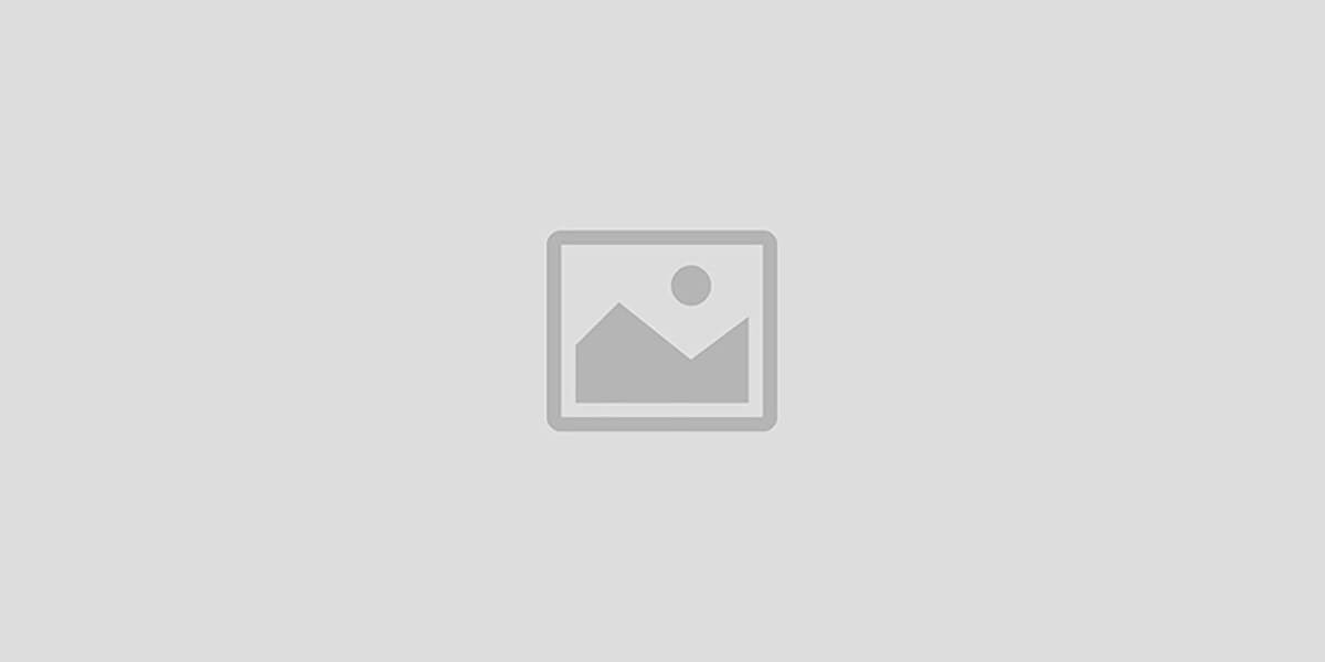 Online Dating Script
